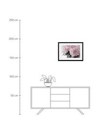 Stampa digitale incorniciata Pink Flowers, Immagine: stampa digitale, Cornice: struttura di legno reale, Immagine: rosa, bianco, verde scuro Cornice: nero, L 40 cm x A 30 cm