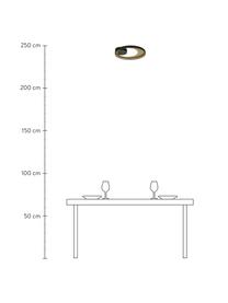Dimmbare LED-Deckenleuchte Carat in Schwarz/Gold, Lampenschirm: Aluminium, beschichtet, Baldachin: Metall, beschichtet, Goldfarben, Schwarz, Ø 36 x H 7 cm