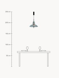 LED-Pendelleuchte Bangkok, Lampenschirm: Glas, Grau transparent, Schwarz, Ø 40 x H 68 cm