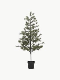 Albero di Natale con luci a LED Pauce, Verde scuro, Alt. 180 cm