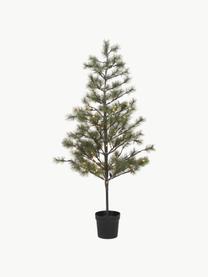 Albero di Natale con luci a LED Pauce, Verde scuro, Alt. 180 cm