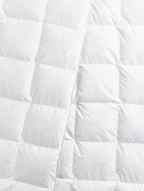 Donzen dekbed Comfort, extra licht, Extra licht, B 200 x L 200 cm