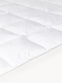 Donzen dekbed Comfort, extra licht, Extra licht, B 200 x L 200 cm