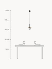 Petite suspension Plate, Noir, doré, Ø 20 x haut. 32 cm