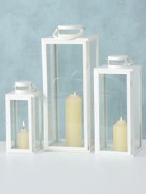 Laternen Arana aus Glas, 3er-Set, Glas, Metall, beschichtet, Weiß, Transparent, Set mit verschiedenen Größen