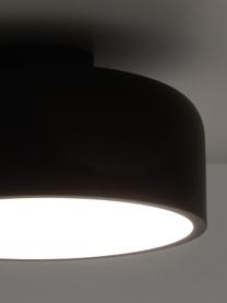 Lampada da soffitto in metallo Ole, Paralume: metallo verniciato a polv, Baldacchino: metallo verniciato a polv, Disco diffusore: acrilico, Nero, opaco, Ø 35 x Alt. 18 cm