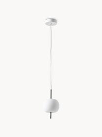 Lámpara de techo Kushi, Estructura: metal recubierto, Pantalla: vidrio soplado artesanalm, Cable: plástico, Negro, Ø 16 x Al 26 cm