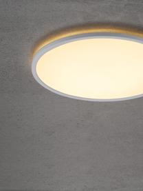 Plafón pequeño LED regulable Oja, Plástico, Blanco, Ø 42 x Al 2 cm