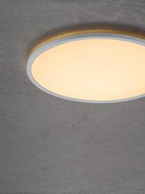 Dimmbare LED-Deckenleuchte Oja, Kunststoff, Weiß, Ø 42 x H 2 cm