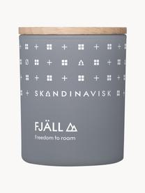 Vonná svíčka Fjäll (vřes, tymián, lesní plody), Šedomodrá, Ø 6 cm, V 8 cm