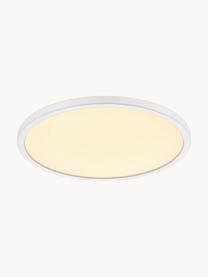 Plafón pequeño LED regulable Oja, Pantalla: plástico, Blanco, Ø 29 x Al 2 cm