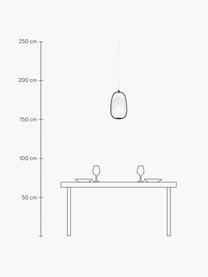 Dimmbare Pendelleuchte Lanna, mundgeblasen, Lampenschirm: Glas, mundgeblasen, Schwarz, Ø 22 x H 40 cm