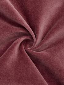 Funda de cojín de terciopelo texturizada Sina, Terciopelo (100% algodón), Rojo vino, An 30 x L 50 cm