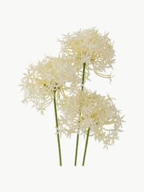 Fleur artificielle Allium, Plastique, métal, Blanc crème, vert, long. 64 cm