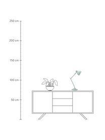 Bureaulamp True Buddy in pastelgroen, Lampenkap: gecoat metaal, Lampvoet: gecoat metaal, Decoratie: metaal, Pastelgroen, 14 x 52 cm