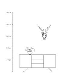 Dekoracja ścienna Antler, Stal malowana proszkowo, Czarny, S 52 x W 67 cm