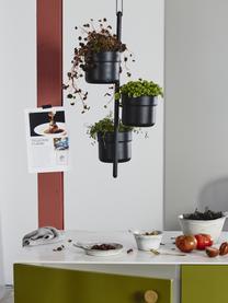 Hangende plantenpot Vulcano van metaal, Gecoat metaal, Zwart, Ø 15 x H 66 cm