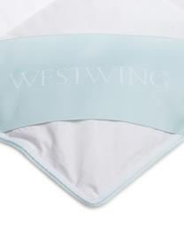 Piumino extra leggero a cassettoni in piuma d'oca Premium, Rivestimento: 100% cotone, pregiata cop, Bianco, Larg. 200 x Lung. 200 cm, piazza e 1/2