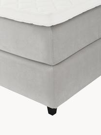 Letto boxspring premium in velluto Phoebe, Materasso: nucleo a 5 zone di molle , Piedini: legno massiccio di betull, Velluto grigio, Larg. 200 x lung. 200 cm, grado di durezza H3