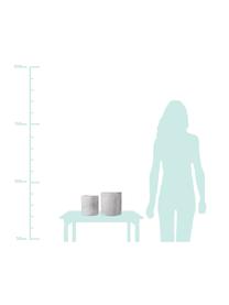 Plantenpottenset Siri, 2-delig, Beton, Grijs, Set met verschillende formaten - klein