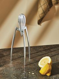 Exprimidor Juicy Salif, Poliamida, fundición de aluminio, muy pulida, Plateado, Ø 14 x Al 29 cm