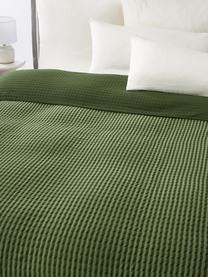 Colcha de algodón acolchada Nivia, Funda: 100% algodón, Verde oscuro, verde, An 180 x L 250 cm (para camas de 140 x 200 cm)