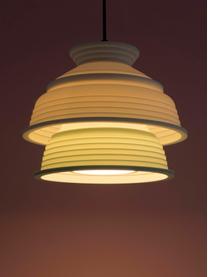 Lampada a sospensione piccola CL4, Paralume: silicone, plastica, Verde chiaro, bianco, Ø 26 x Alt. 20 cm