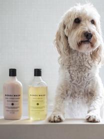 Après-shampoing pour chien Bondi (Paperbark & Lemongrass), 500 ml, Arbre à thé & citronnelle, 500 ml