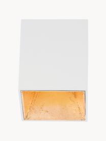Spot sufitowy LED Marty, Biały, odcienie złotego, S 10 x W 12 cm