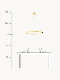 Grosse LED-Pendelleuchte Tim, handgefertigt, Goldfarben, glänzend, Ø 78 cm