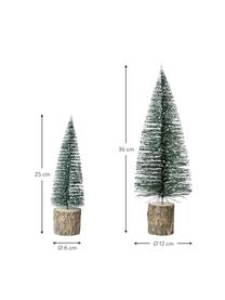 Objet déco sapin de Noël Greenwood, 2 élém., Sapin : vert, blanc Socle : brun, Lot de différentes tailles