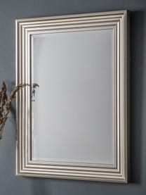 Rechthoekige wandspiegel Haylen met zilverkleurige frame, Lijst: kunststof, Zilverkleurig, B 64 cm x H 79 cm