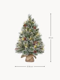 Sapin de Noël LED avec neige artificiel Vandans, tailles variées, Plastique, LED, Ø 36 x haut. 60 cm