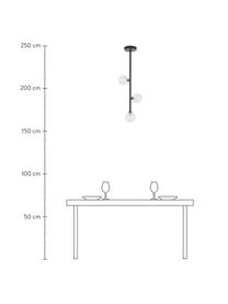 Závěsné svítidlo ze skla Emily, Černá, Š 30 cm, V 90 cm