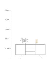Kleine Tischlampe Laurel aus farbigem Glas, Lampenschirm: Glas, Transparent, Goldfarben, Ø 14 x H 28 cm