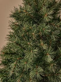 Künstlicher Weihnachtsbaum Malmo, in verschiedenen Grössen, Dunkelgrün, Hellbeige, Ø 41 x H 60 cm