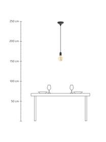Lámpara de techo pequeña Trey, Anclaje: metal con pintura en polv, Cable: cubierto en tela, Negro, Ø 10 x Al 8 cm