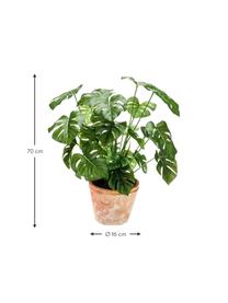 Planta artificial Monstera, Verde, Ø 16 x Al 70 cm