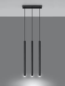 Suspension Fideus, Noir, mat, larg. 30 x haut. 90 cm