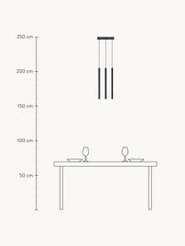 Závěsné svítidlo Fideus, Matná černá, Š 20 cm, V 50 cm