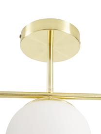 Lampada da soffitto in vetro opale Grant, Paralume: vetro, Struttura: metallo rivestito, Baldacchino: metallo rivestito, Bianco, ottonato, Larg. 70 x Alt. 30 cm