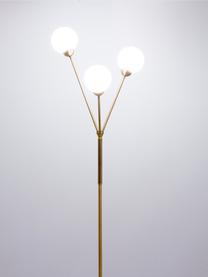 Vloerlamp Twiggy in goudkleur, multiflame, Lampvoet: messing, Wit, messingkleurig, Ø 43 x H 165 cm