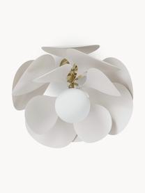 Design plafondlamp Peony, Lampenkap: gecoat metaal, Diffuser: glas, Baldakijn: gecoat metaal, Off White, goudkleurig, Ø 45 x H 31 cm