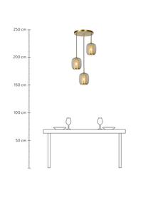 Cluster-Pendelleuchte Agatha aus Glas, Baldachin: Metall, Dekor: Metall, Grau, transparent, Messingfarben, Ø 35 x H 20 cm