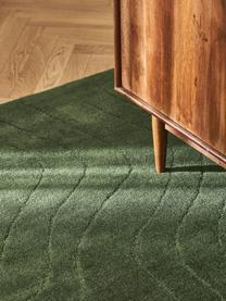 Ručně všívaný vlněný koberec Aaron, Tmavě zelená, Š 80 cm, D 150 cm (velikost XS)