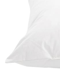 Kissen-Inlett Comfort, 40x40, Feder-Füllung, Bezug: Feinköper, 100% Baumwolle, Weiß, 40 x 40 cm