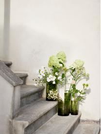Skleněná váza Salon, Sklo, Zelená, transparentní, Ø 17 cm, V 20 cm