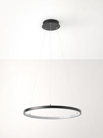 LED-Pendelleuchte Breda, Lampenschirm: Metall, beschichtet, Baldachin: Metall, beschichtet, Schwarz, Ø 50 x H 150 cm