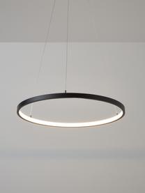 LED-Pendelleuchte Breda, Lampenschirm: Metall, beschichtet, Baldachin: Metall, beschichtet, Schwarz, Ø 50 x H 150 cm