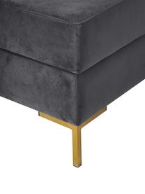 Samt-Sofa-Hocker Luna mit Stauraum in Dunkelgrau mit Metall-Füssen, Bezug: Samt (100% Polyester), Oe, Gestell: Massives Buchenholz, Schi, Samt Dunkelgrau, Gold, B 80 x H 45 cm